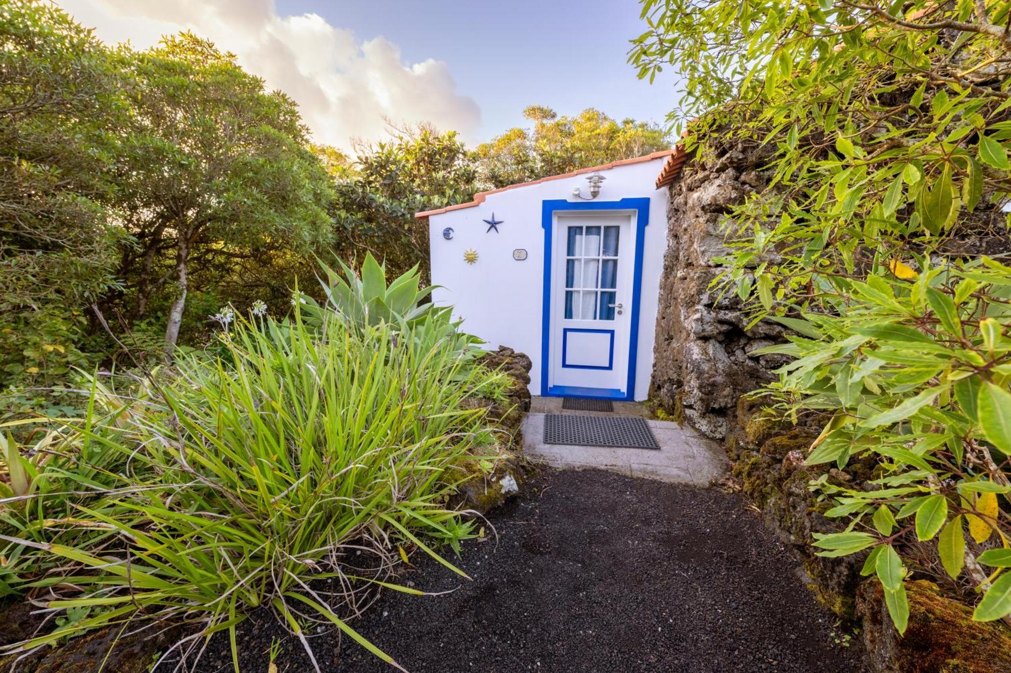 Bed and Breakfast O Zimbreiro à Piedade  Extérieur photo